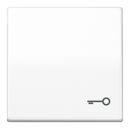 AS591TWW Wippe für Schalter/Taster AS 500/A plus alpinweiss mit Symbol Tür