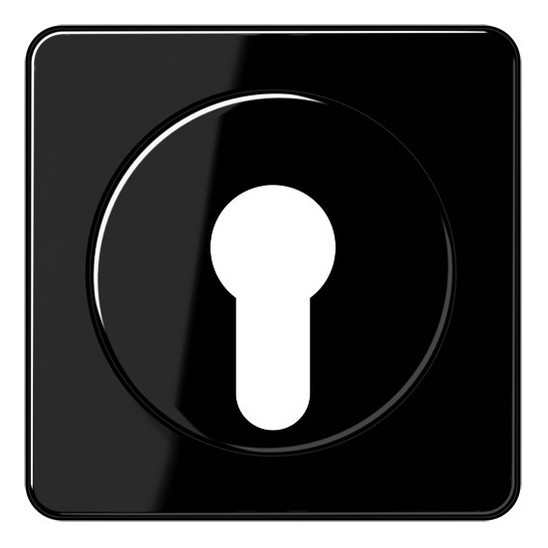 CD528SW Abdeckung für Schlüsselschalter CD500 schwarz