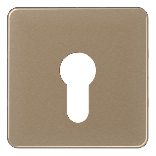 CD525GB Abdeckung für Schlüsselschalter flach gold-bronze