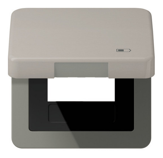 CD590KLUSBPT Klappdeckel Zentralplatte mit Symbol USB-Ladegerät für USB-Ladegerät platin
